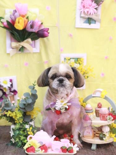 20230315ココロくん